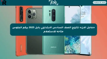 «عاجل الآن» نتائج الصف السادس الابتدائي بابل 2025 برقم الجلوس متاحة للاستعلام